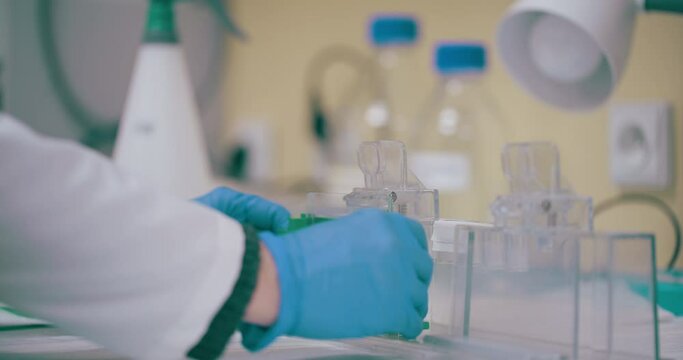 Scientist Working in Medical Laboratory Cancer Research Covic 19 Pandemic