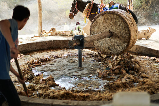 mezcal stone crusher 