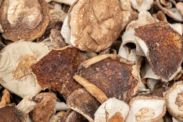 dried white mushrooms close-up, full frame