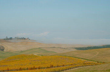 Fototapeta na wymiar Toscana, Italia, Val d'Orcia, veduta su campi coltivati, sullo sfondo un paese e il cielo azzurro