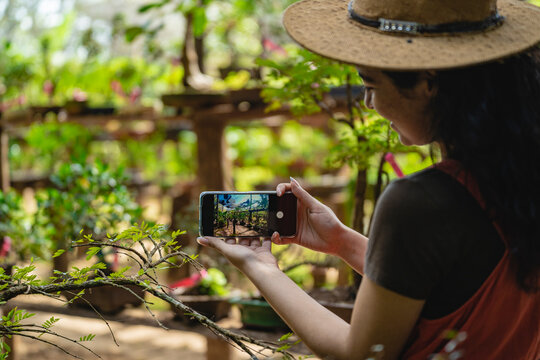 Woman taking pictures of her plants