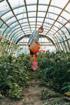 Millennial woman working in backyard greenhouse watering vegetables