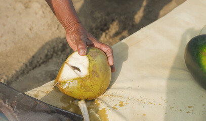 coconut vendor prepares a coconut for drinking using a large knife