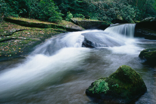 Davidson River North Carolina Pisgah National Forest Blue Ridge Mtns.