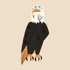 Bald eagle, bird of prey. Vector illustration in flat style
