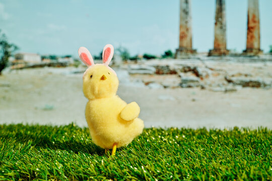 easter chick with bunny ears standing on the grass