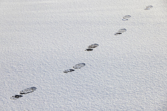 Footprints in the snow