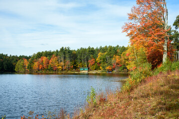 Beautiful lake surrounded by a dense forest in autumn. A holiday cabin is visible among the trees along the shore of the lake.