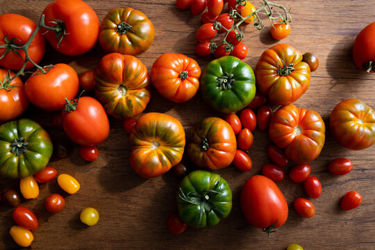 variety of fresh natural tomatoes