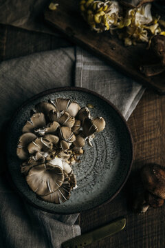 A bowl of oyster mushrooms