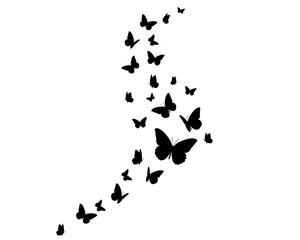 Fototapeta na wymiar black butterfly hand drawn design