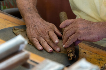 Fototapeta na wymiar Close up of cigar rolling in Cuba