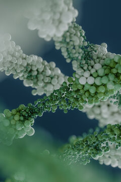 multicolored particles