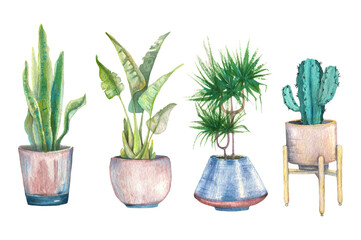 Set of desert exotic houseplants in pots. Watercolor hand drawn cacti, palm and succulents.