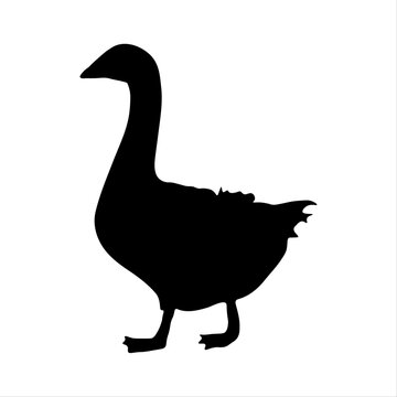 silhouette of a goose, goose, black silhouette on a white background, house, farm, nature, house,  factory, glade