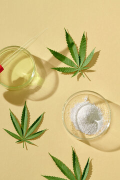 leaves of the plant on a laboratory glassware