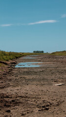 Campo y sequía