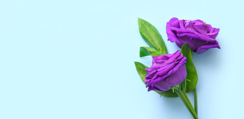 Beautiful eustoma flowers on light blue background with space for text
