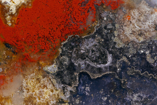 coral skeleton fossil crystal jade agate texture detail