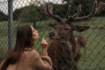 Woman feed deer. Wild animals concept. Woman feeding fawn. Animal at park