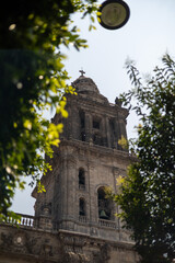 View of Metropolitan Cathedral in Mexico City behind trees