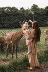 Exciting experience. Cute little girl watching and stroking young dappled deer with food while spending great time with her family in zoo. National Park. Animals