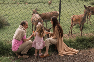 Exciting experience. Cute little girl watching and stroking young dappled deer with food while spending great time with her family in zoo. National Park. Animals