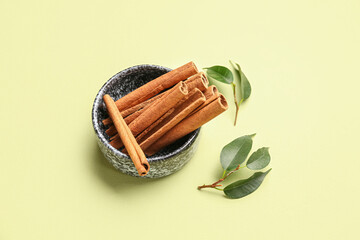 Bowl with cinnamon sticks and plant branches on color background