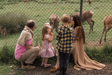 Exciting experience. Cute little girl watching and stroking young dappled deer with food while spending great time with her family in zoo. National Park. Animals