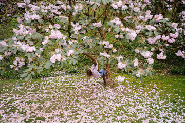 Beautiful blooming tree in the park and the child