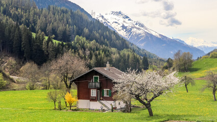 Fototapeta na wymiar Swiss Alps, Switzerland
