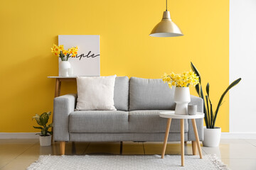 Cozy grey sofa and vase with beautiful narcissus flowers near yellow wall