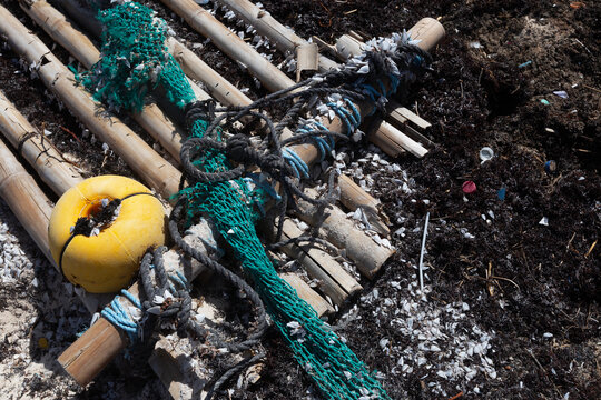 Beachfront Devastation: The Impact of Pollution on Coastal Ecosystems