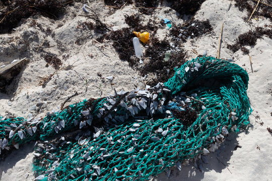 Pollution and Plastic: A Grim Reality on Beaches Everywhere