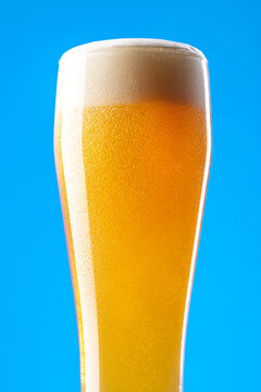 Beer on a Blue Background