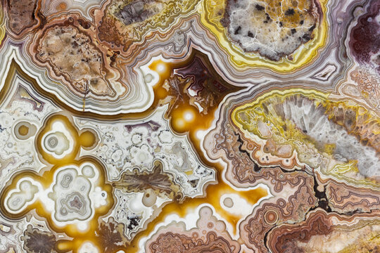 Crazy Lace Agate Closeup  