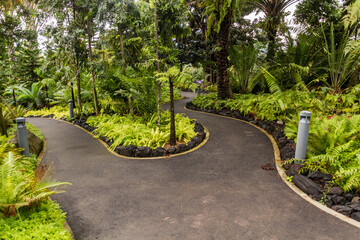 Trails at Gardens By The Bay in Singapore.