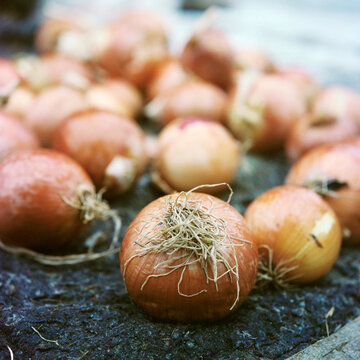Onions sold in hutongs in winter