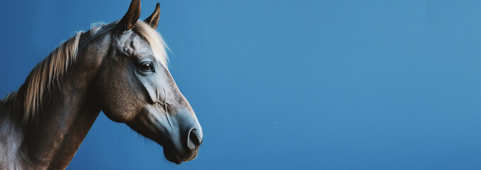 Horse on blue background with copy space. Generative AI. - obrazy, fototapety, plakaty