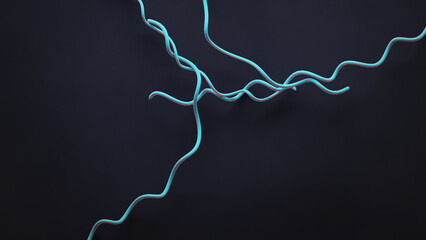 Lyme disease bacteria, Borrelia burgdorferi. 3d illustration medical imagery.