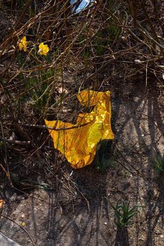 Golden metallic folio