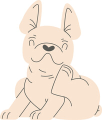 Fototapeta premium Sitting French Bulldog