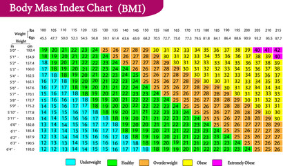 vector illustration of Body mass index (BMI) chart