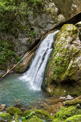 waterfall in the forest