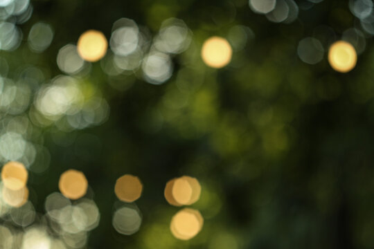 abstract christmas lights in the garden in Eastern Europe Ukraine Hungary 