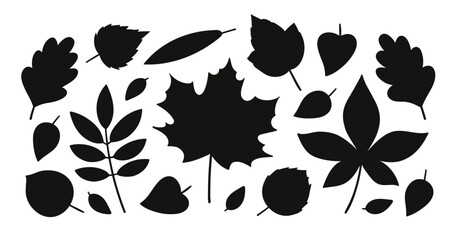 Fototapeta premium Vector tree leaves illustration set. Black flat illustrations. Simple autumn leaf shape bundle. Vector autumn leaves. Oak, maple, birch, aspen, chestnut, willow, rowan, other tree leaves.