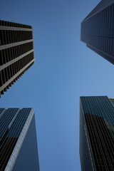 Obraz premium office buildings in Calgary Canada 