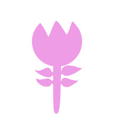 Tulip pink 