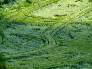 Durch Regen niedergedr&uuml;cktes Getreidefeld