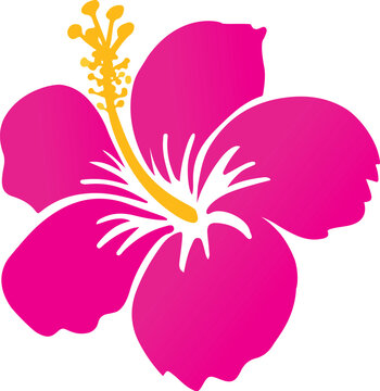 Hibiscus rosa-sinensis, also called Chinese hibiscus. flat icon illustration.
